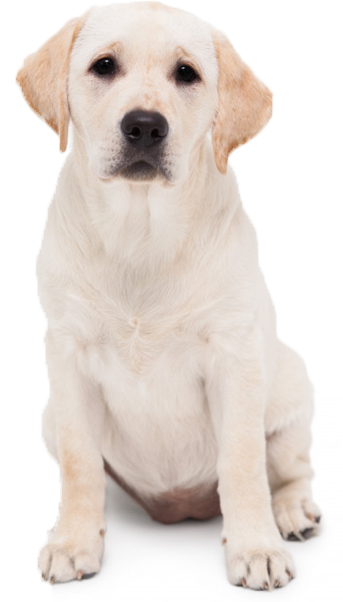 (HỘ KINH DOANH) LÊ VĂN RU Y